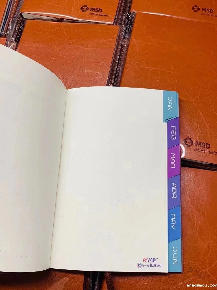 定制化生产-满足企业不同需求的记事本