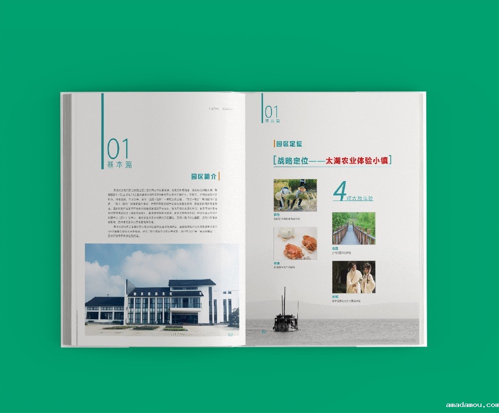 油墨渗透与纸张吸水性如何导致印刷品规格尺寸的变化?